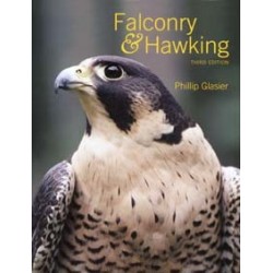 Livro - Falconry & Hawking